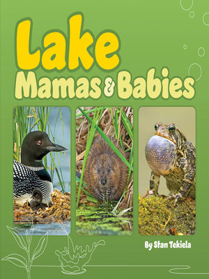 cover image of Lake Mamas & Babies